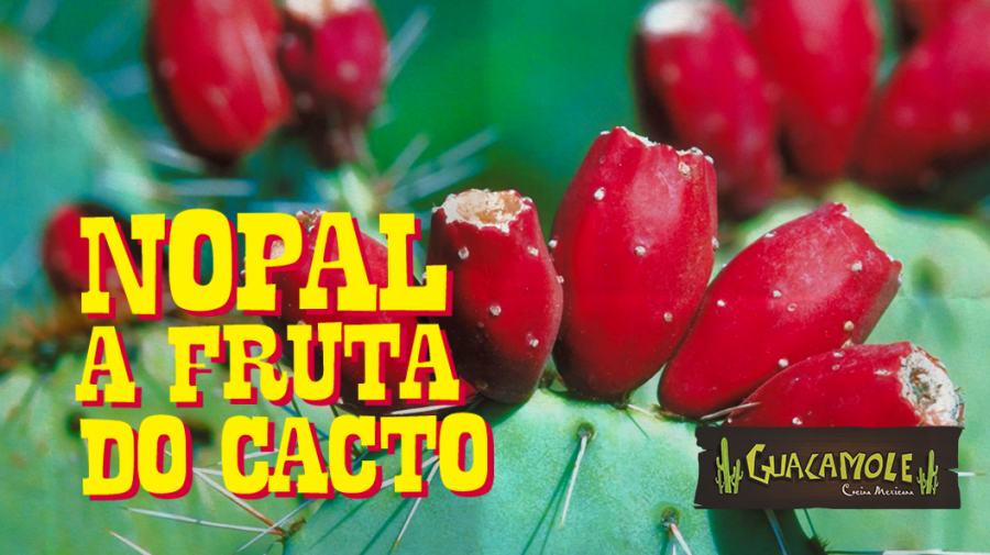 Nopal, a fruta comestível do cacto